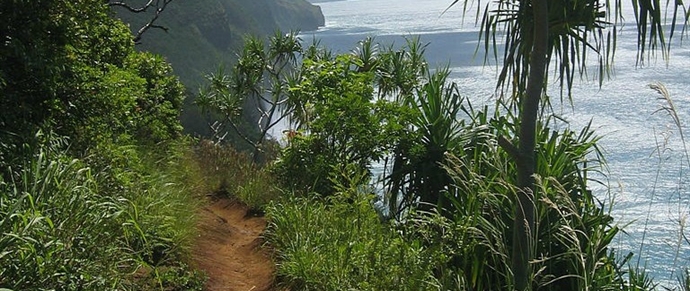 Hiking Beaches In Kauai Get The Scoop On Kauai Beaches