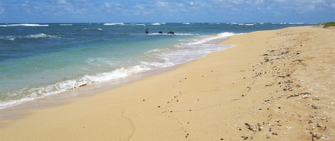 Waipouli Beach Park