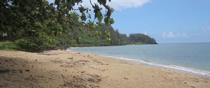 Waikoko Beach