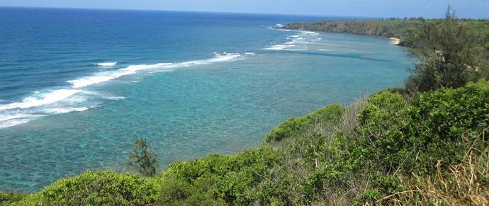 Pila'a Beach Kauai: Your Ultimate Guide to Paradise